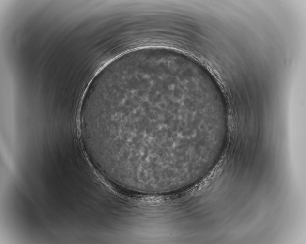 X0000093401521200710260906