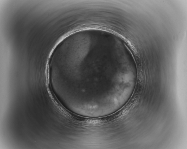 X0000093401522200710260906