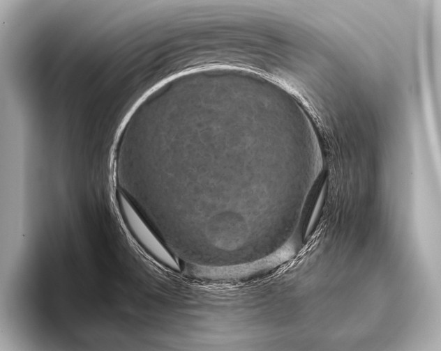 X0000093401524200710260906