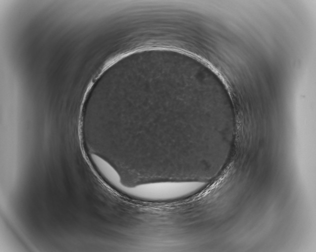 X0000093401525200710260906