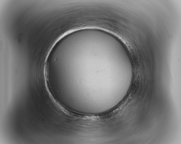 X0000093401526200710260906