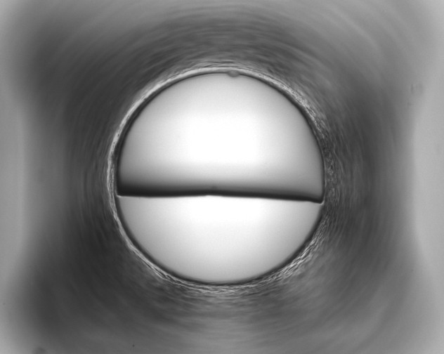 X0000093401527200710260906