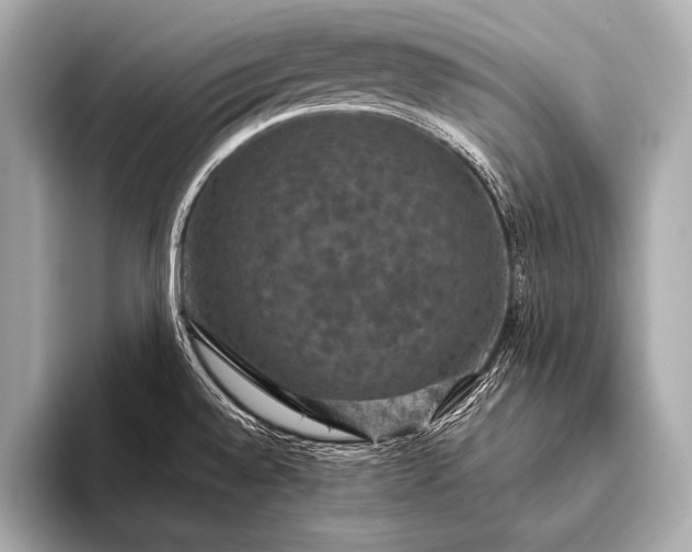 X0000093401528200710260906