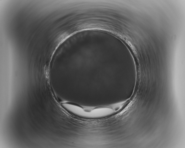 X0000093401529200710260906