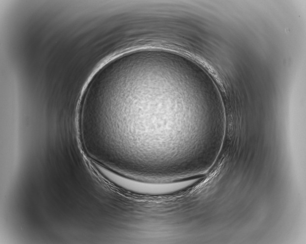 X0000093401530200710260906