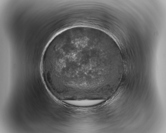 X0000093401531200710260906