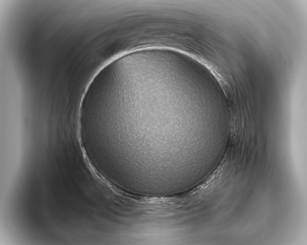 X0000093401534200710260906