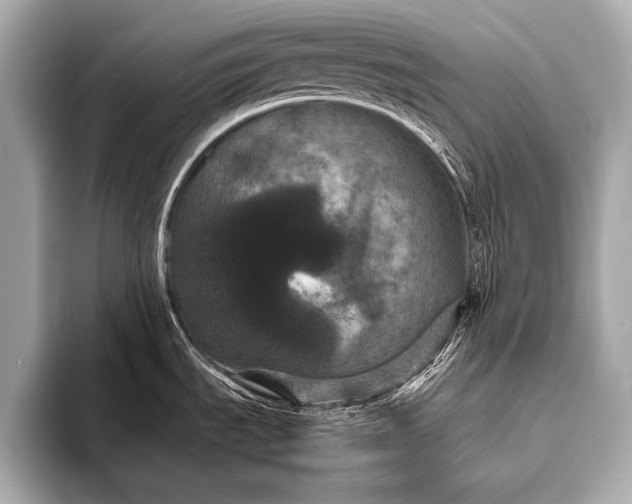 X0000093401535200710260906