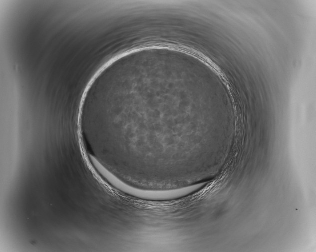 X0000093401536200710260907