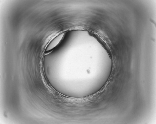 X0000093400001200711020944