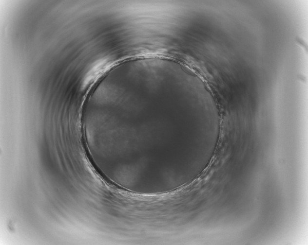 X0000093400002200711020944