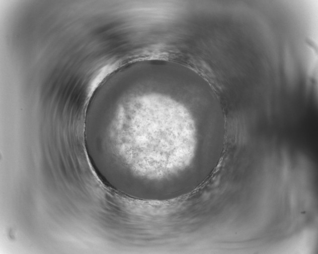 X0000093400003200711020944