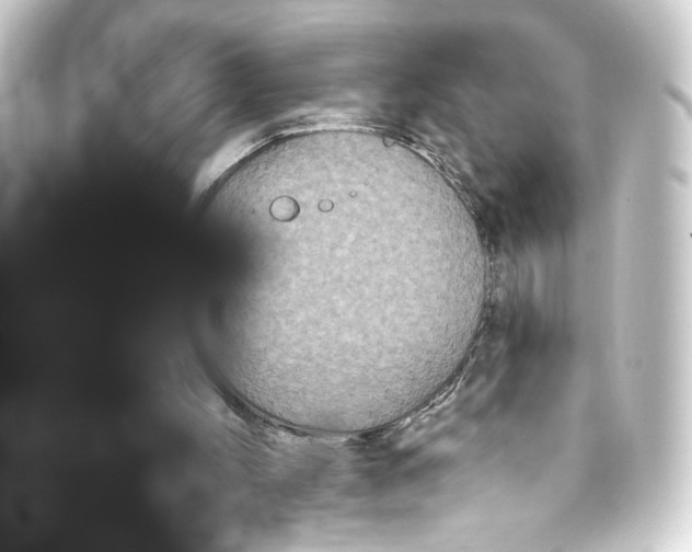 X0000093400004200711020944