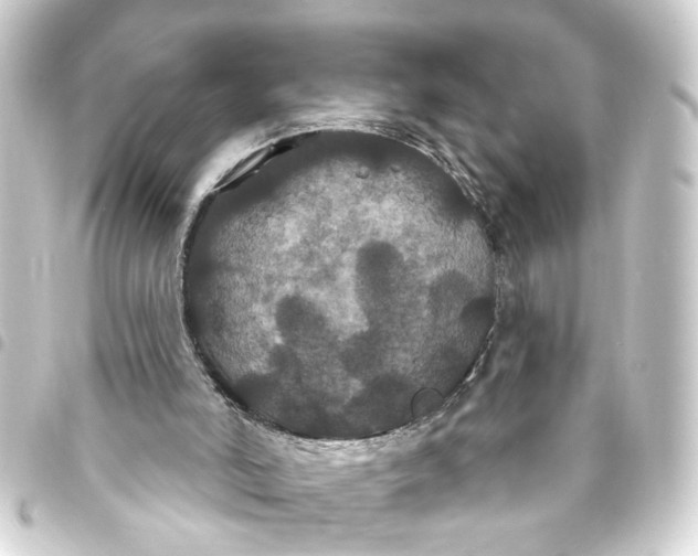 X0000093400006200711020944