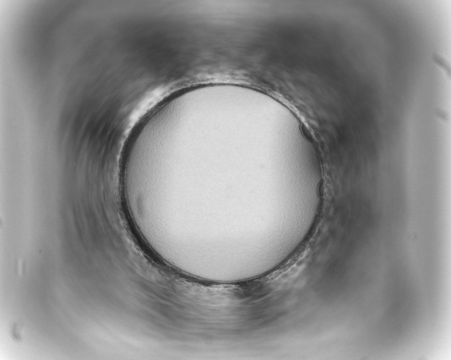 X0000093400008200711020944