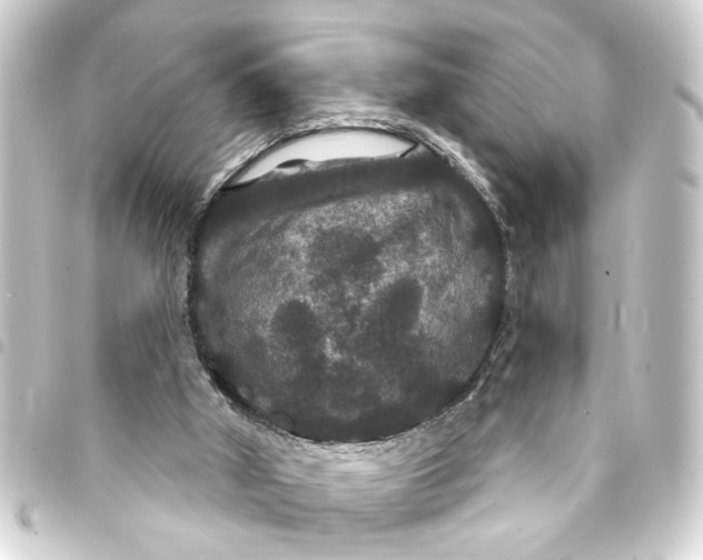 X0000093400010200711020944