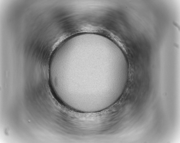 X0000093400011200711020944