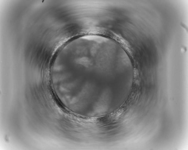 X0000093400012200711020944