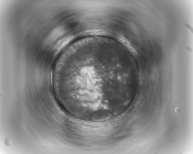 X0000093400014200711020944