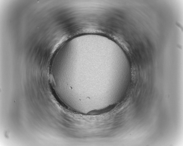 X0000093400015200711020944