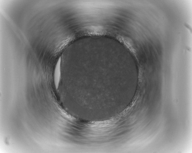 X0000093400017200711020944