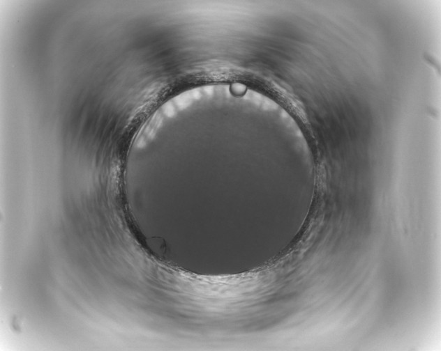 X0000093400018200711020944