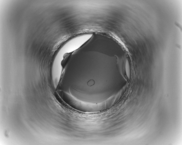 X0000093400019200711020944