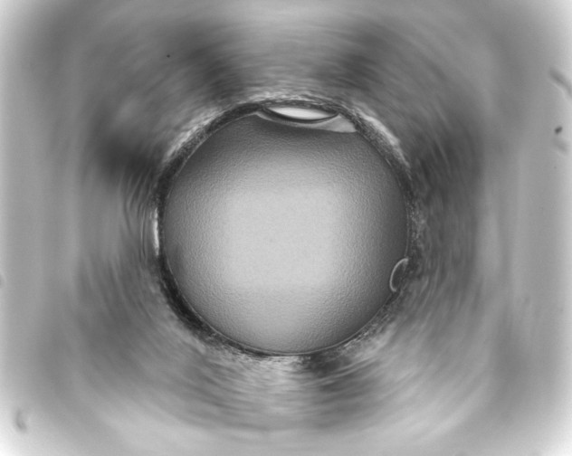 X0000093400020200711020944