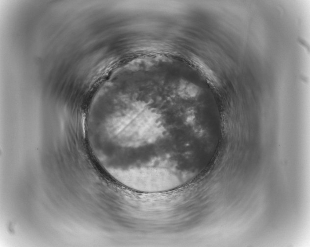 X0000093400022200711020944