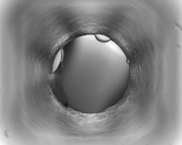 X0000093400023200711020944