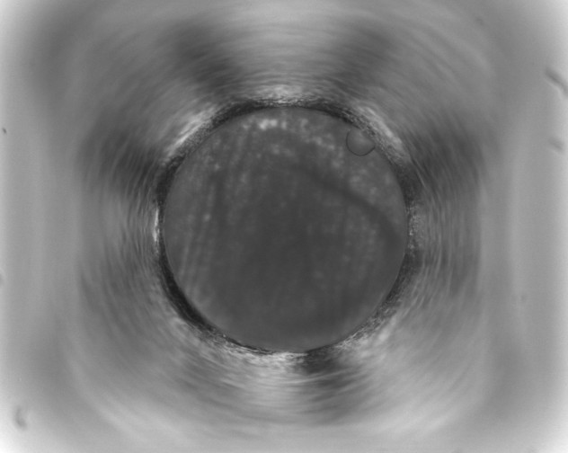 X0000093400024200711020944