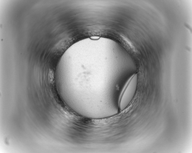 X0000093400025200711020944