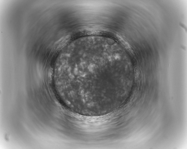 X0000093400026200711020944