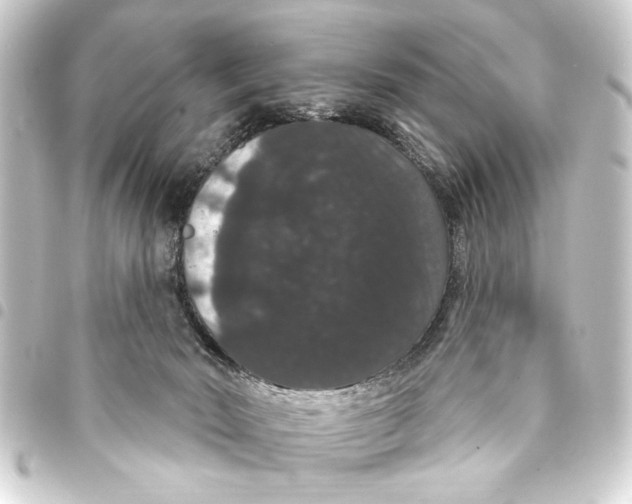 X0000093400030200711020944