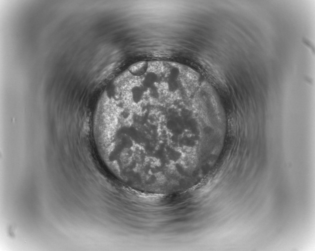 X0000093400032200711020944