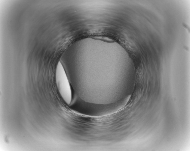 X0000093400033200711020944