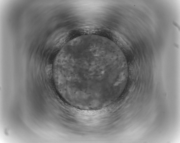 X0000093400034200711020944