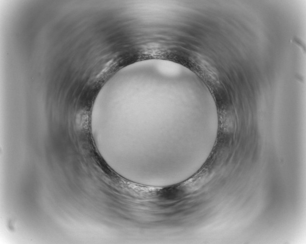 X0000093400036200711020944