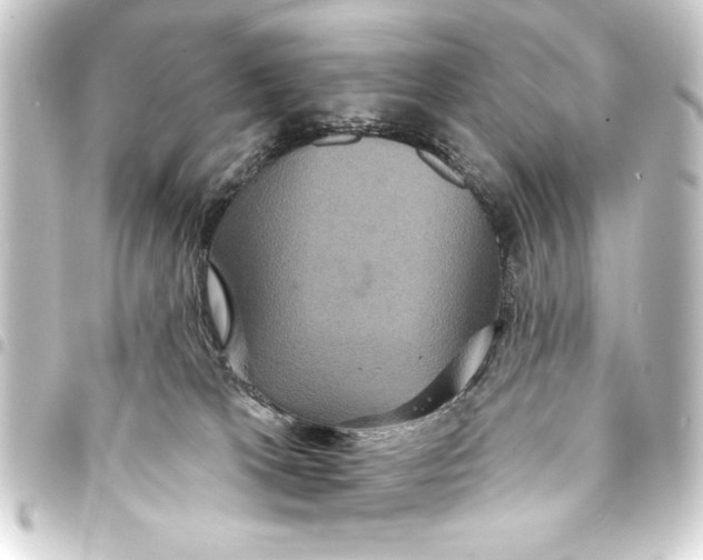 X0000093400037200711020944