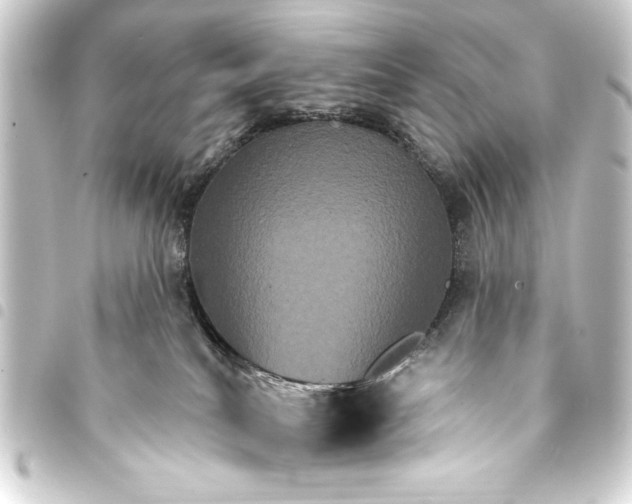 X0000093400040200711020943