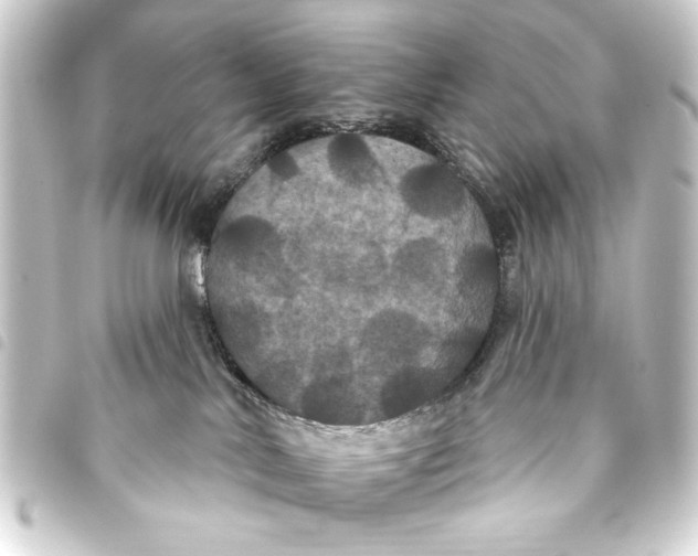 X0000093400042200711020943