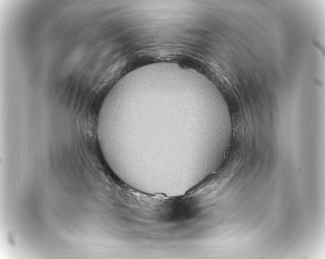 X0000093400044200711020943