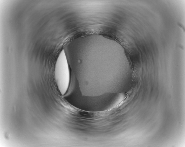 X0000093400045200711020943