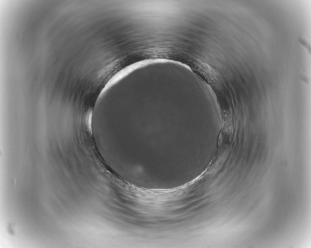 X0000093400047200711020943