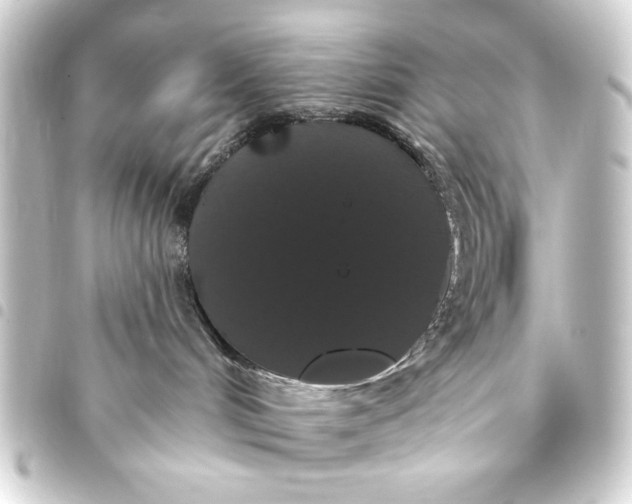 X0000093400048200711020943