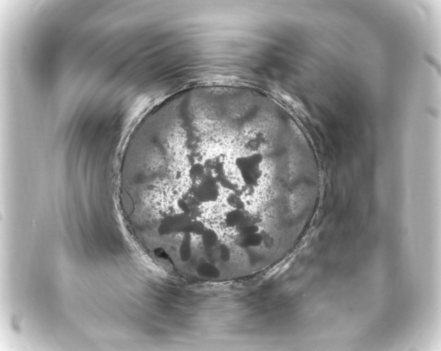 X0000093400049200711020943