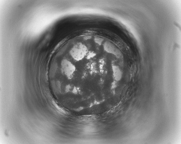 X0000093400050200711020943