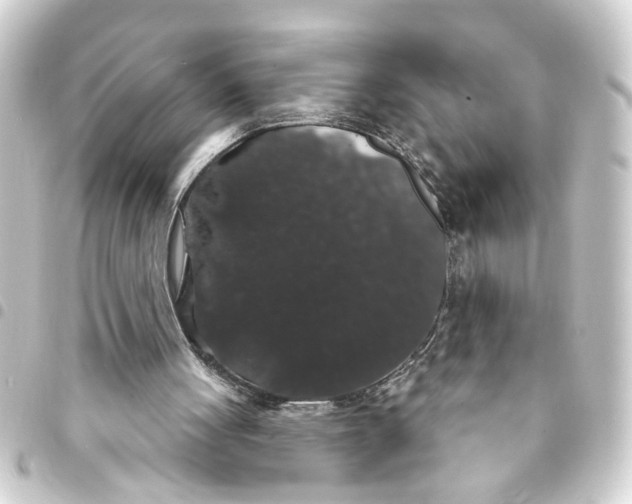 X0000093400051200711020943