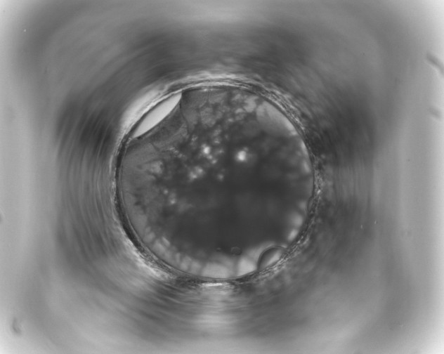 X0000093400053200711020943