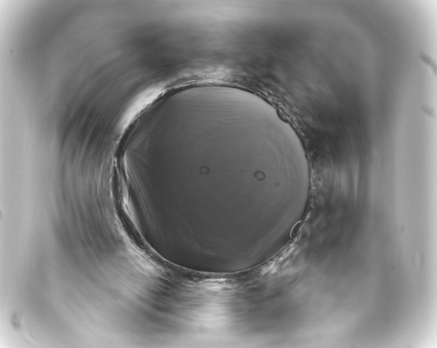 X0000093400054200711020943